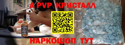 тгк Кингисепп
