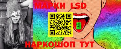 тгк Кингисепп