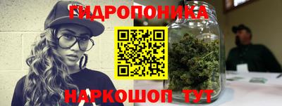 гидра Кимры