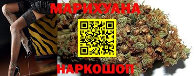 тгк Кингисепп