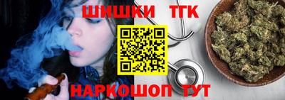 тгк Кингисепп