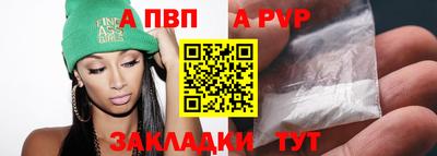 тгк Кингисепп