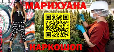 тгк Кингисепп