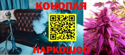 гидра Кимры