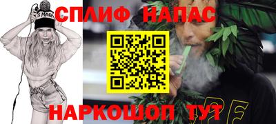 гидра Кимры