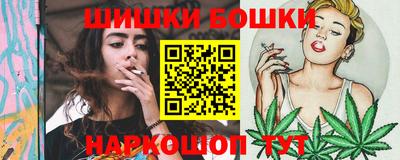 тгк Кингисепп