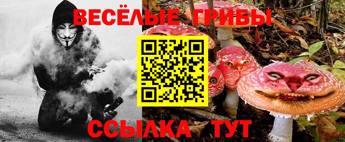 Киселёвск  Галлюциногенные грибы мицелий  Галлюциногенные грибы MAGIC MUSHROOMS  Вход с VPN 