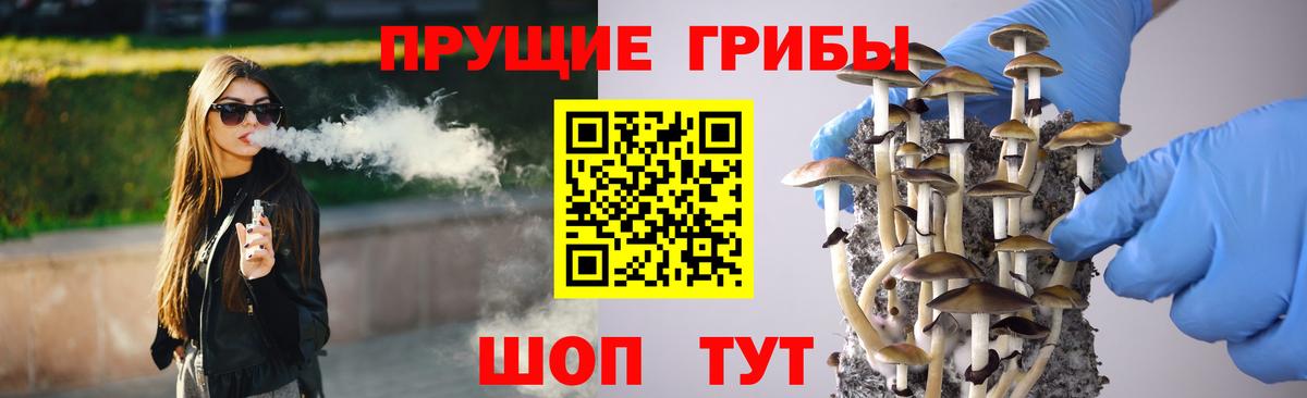 Галлюциногенные грибы ЛСД Киселёвск